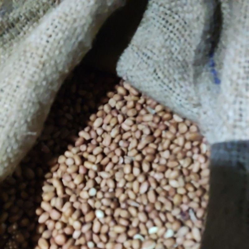 

Kacang Tanah import 250 gram