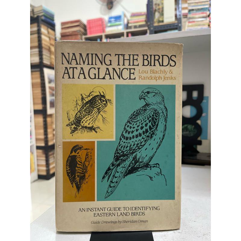 BUKU NAMING THE BIRDS ATAGLANCE AN INSTANT GUIDE TO IDENTIFYING EASTERN LAND BIRDS LOU BLACHLY AND R