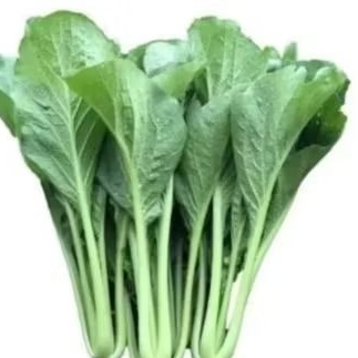 

Sayuran Sawi Hijau fresh 250gr//sawi hijau