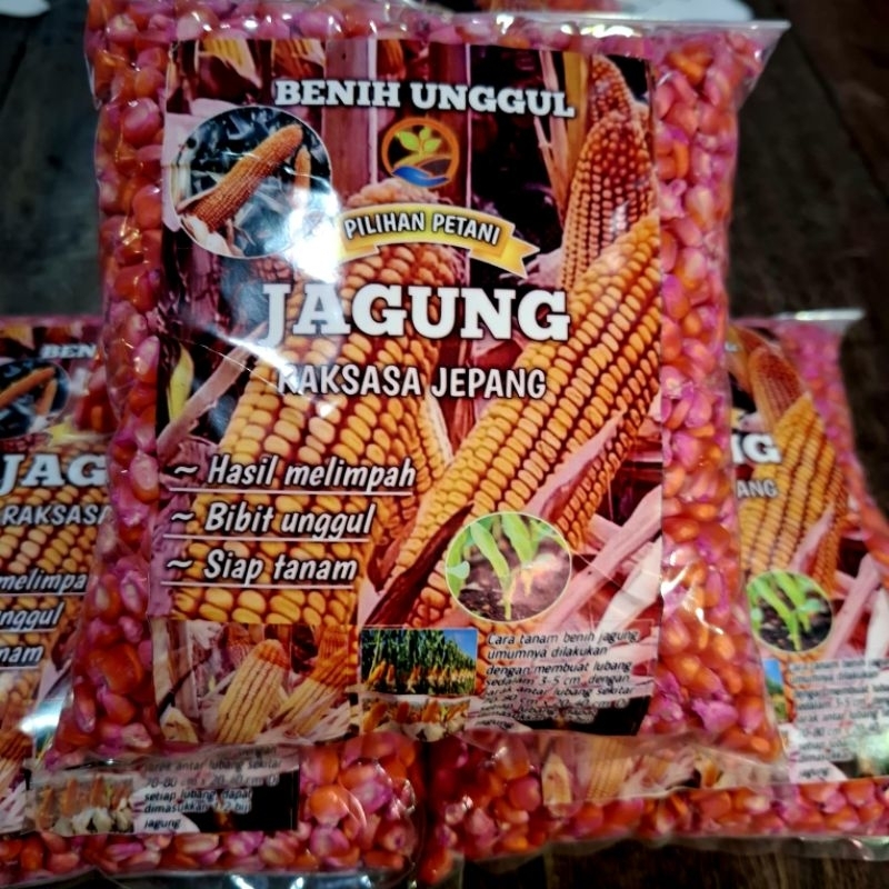 1KG BIJI/BENIH JAGUNG RAKSASA JEPANG