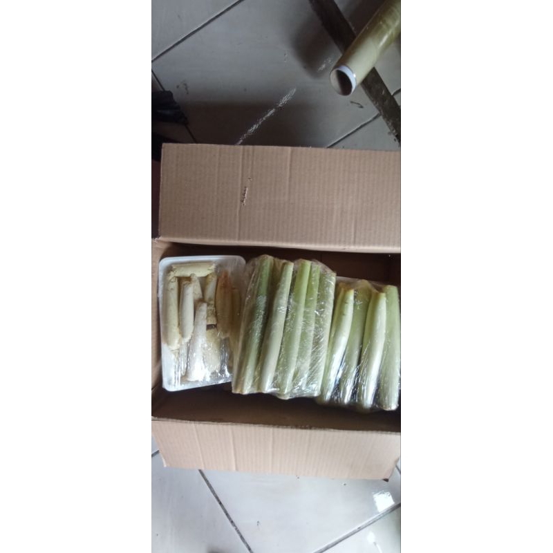 

Sayur turu buk organik berat 500gr sayur pilihan organik