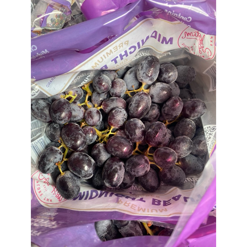 

buah anggur hitam seedless black andora import australia 500g