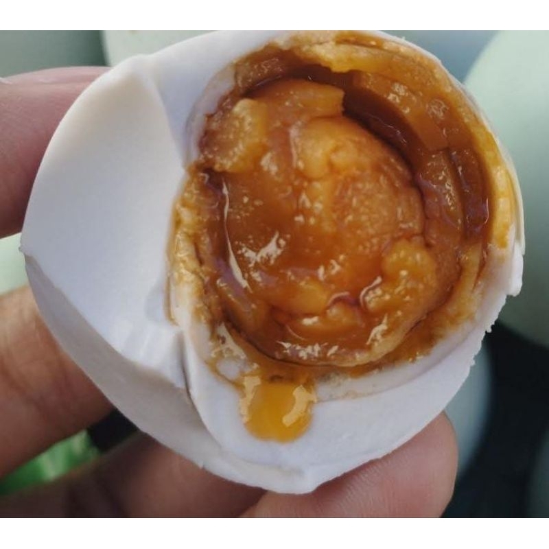 

TELUR ASIN MASIR BERMINYAK OMEGA 3