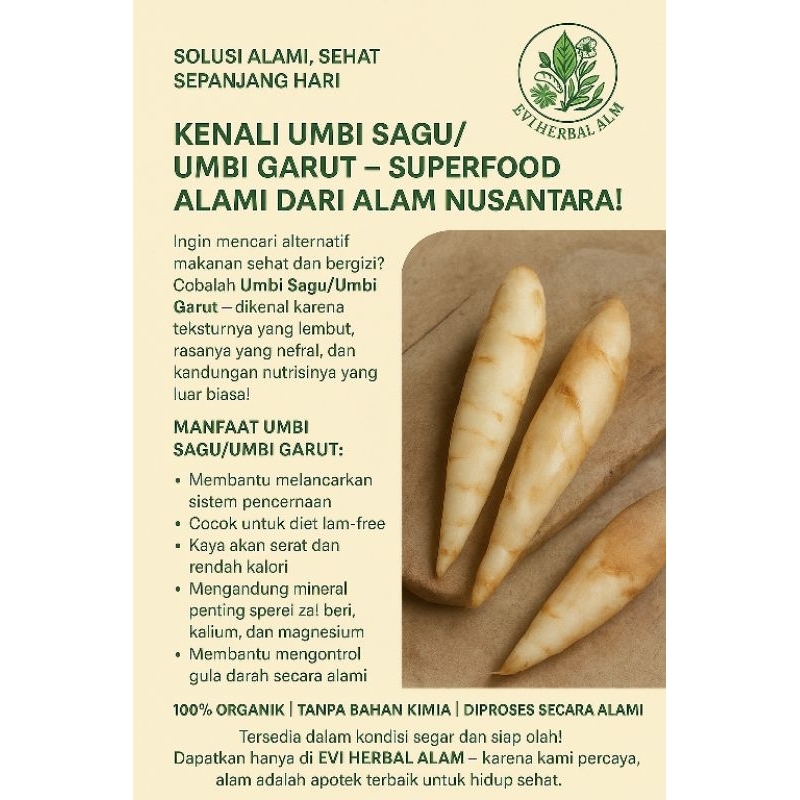 

UMBI SAGU/UMBI GARUT SEGAR 1KG