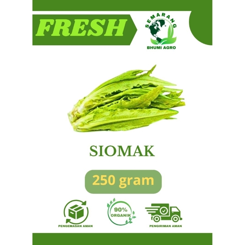 

Sayur Siomak/ Selada Wangi Segar & Organik – 250gr | BHUMI AGRO