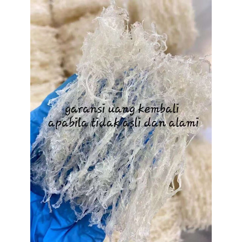 

Sarang Burung Walet Serat Cetak Bersih Proses Alami Natural 100 gram