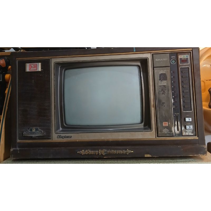 TV JADUL 14 INC SHARP