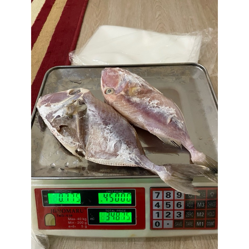 

Ikan Etong