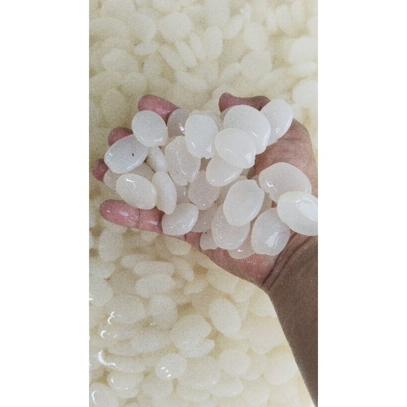 

Kolang kaling Fresh segar langsung dari petani Desa