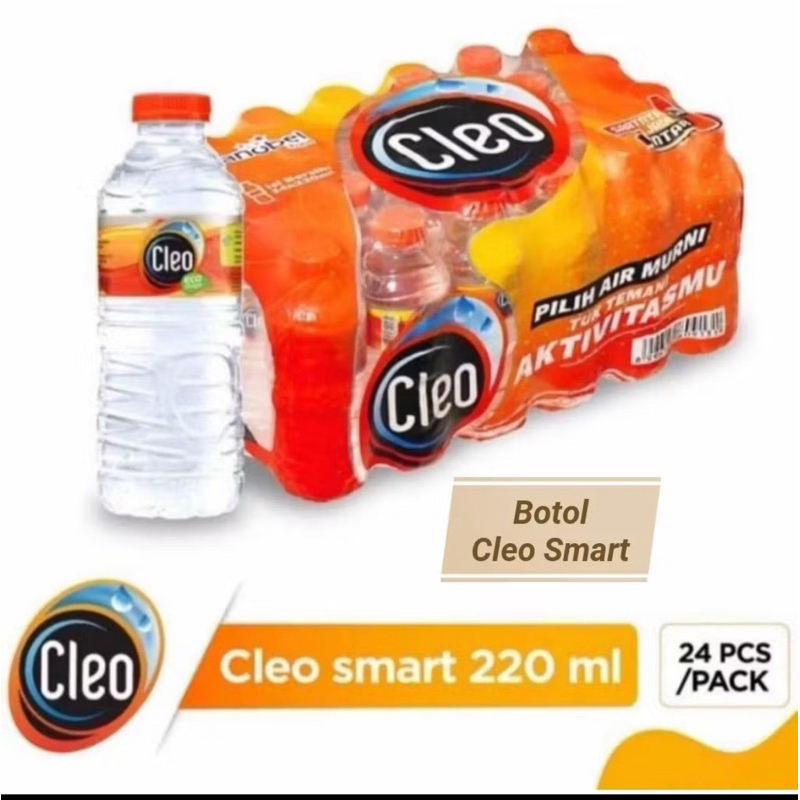 

Cleo Mini 220 ml 24 pcs/ pack