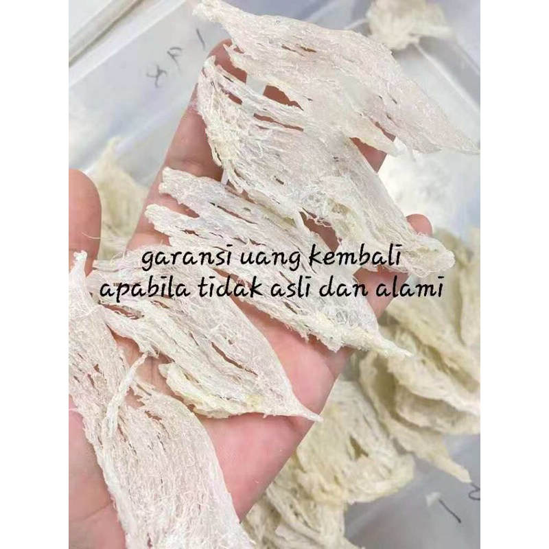 

Sarang Burung Walet Patahan Kecil Bersih Proses Alami Natural 100 gram