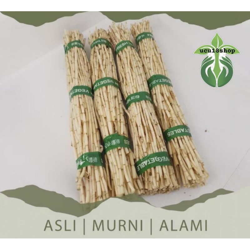 

Akar Alang - Alang segar 500gram