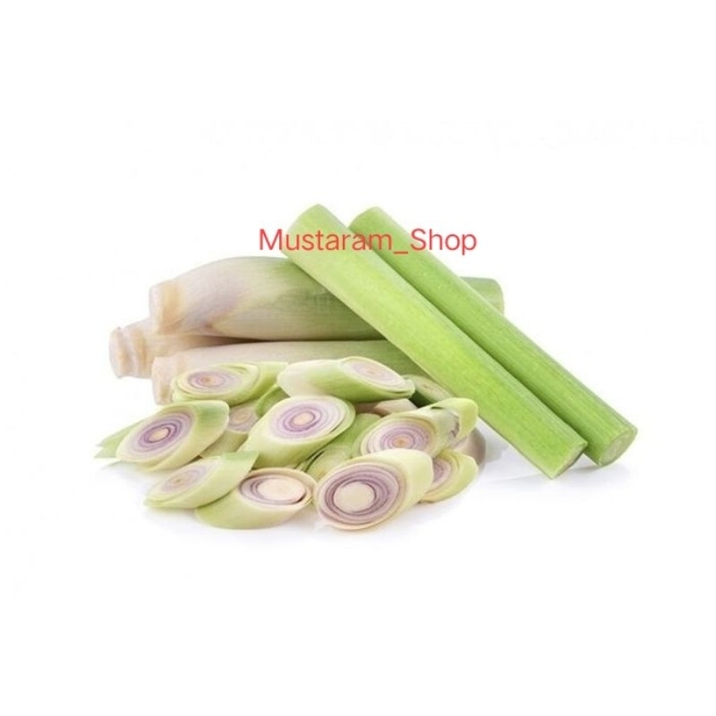 

Sereh Gajah 1kg / Serai Besar / Sereh Jumbo / Sereh untuk masak / Cymbopogon