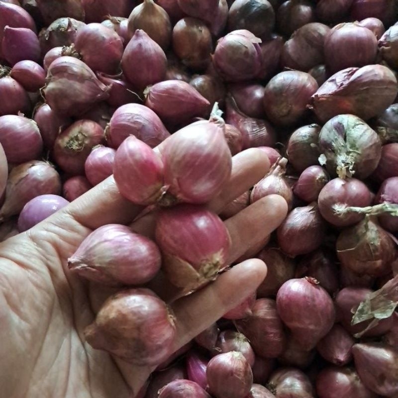 

bawang merah bima/ bawang merah kering/ brambang