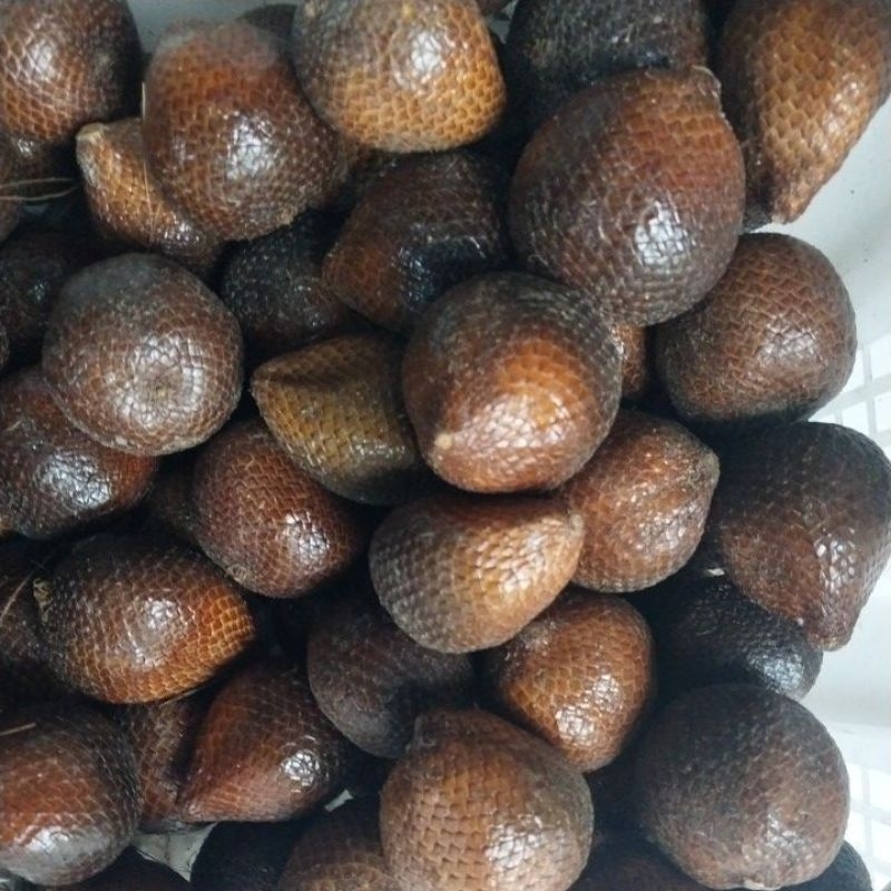

salak pondoh madu