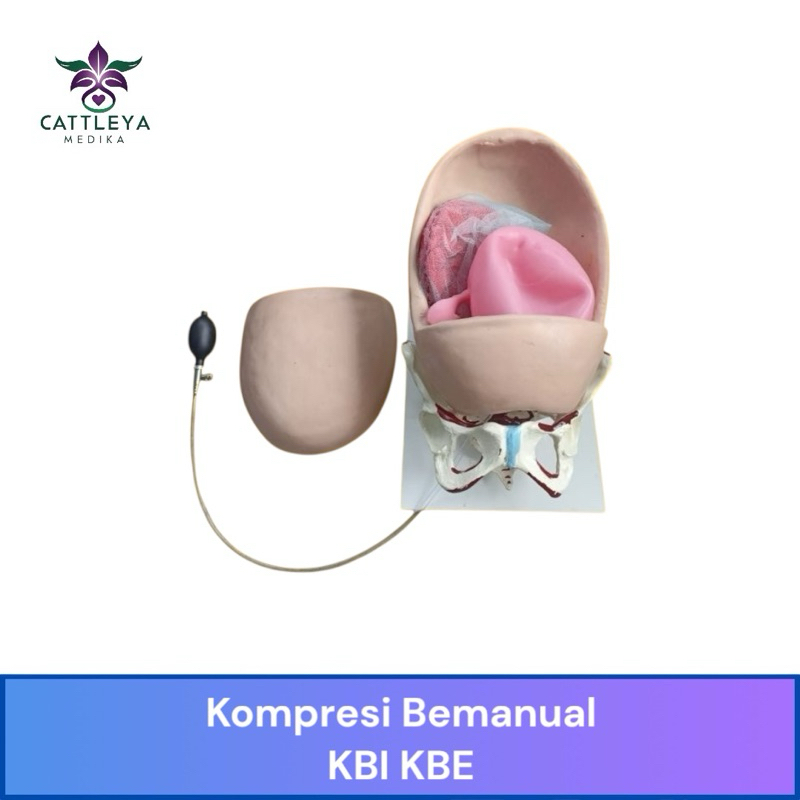 Phantom Manikin Kompresi Bemanual Kbi Kbe / Alat Peraga Manikin kompresi Bemanual Kbi Kbe