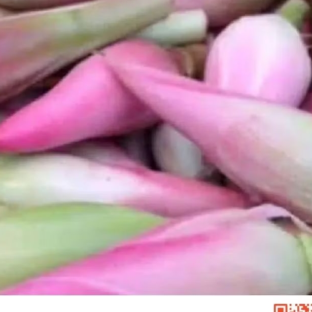 

Bunga kecomrang rombeh pres 200 grm