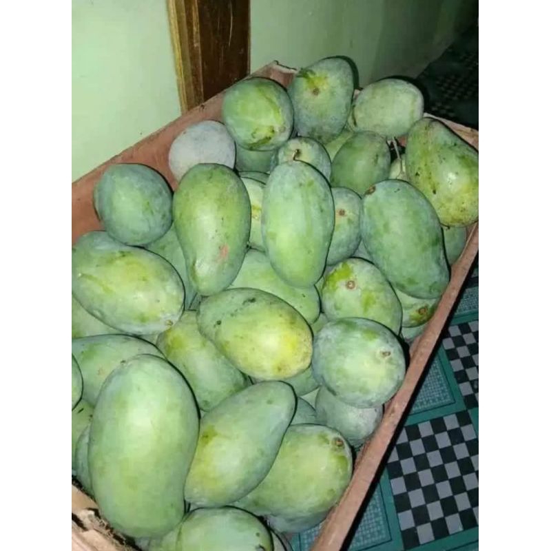 

Mangga Arum Manis berat 1 kg