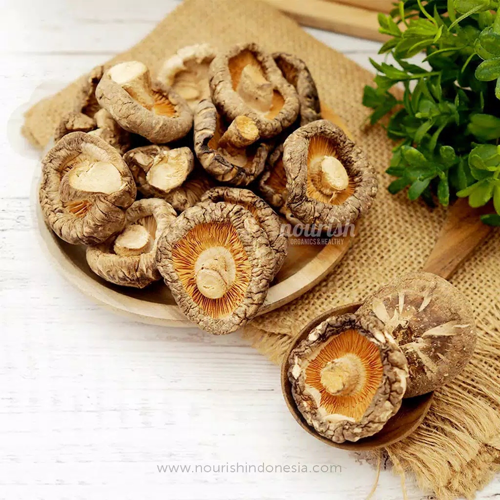 

Jamur Shiitake Kering Premium 100gr – Hioko Tebal, Kaya Nutrisi, Cocok untuk Masakan Sehat
