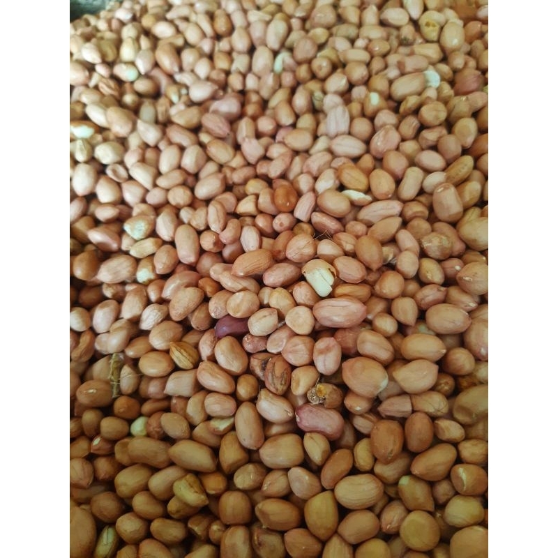 

Kacang Tanah Mentah Super Import 1kg Murah