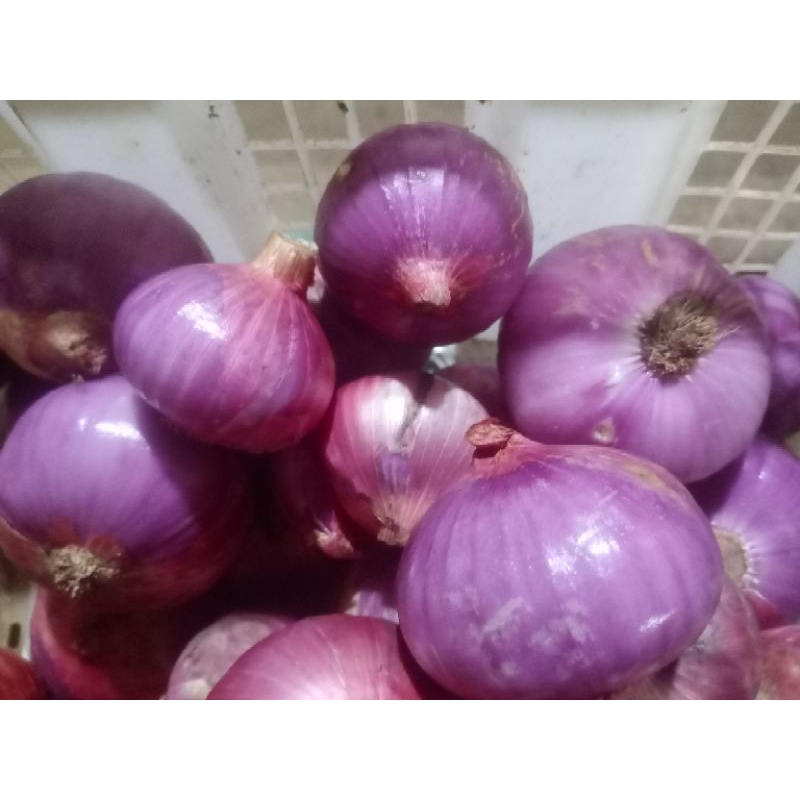 

Bawang Peking Kupas Segar Fresh 500gr / Bawang India