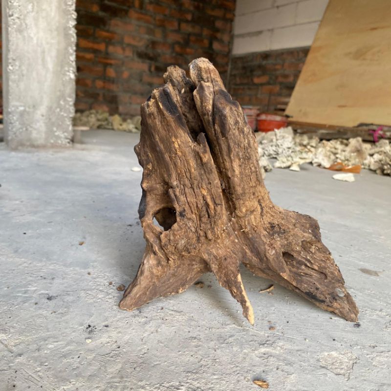 Hiasan akuarium Aquacape Drift wood / kayu rentek - kayu jati / Aquascape, Vivarium, & Paludarium