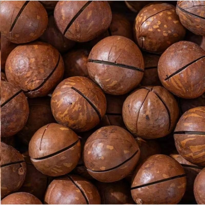 

KACANG MACADAMIA / KACANG HAWAI 250grm