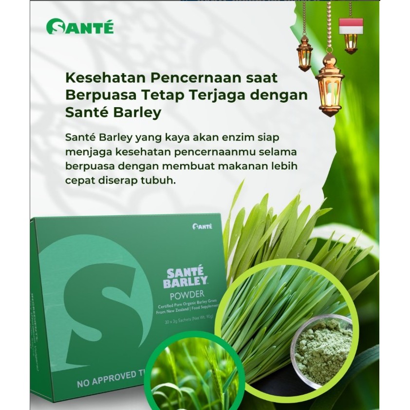 

SANTE BARLEY - Minuman Kesehatan Herbal Dari Rumput Barley