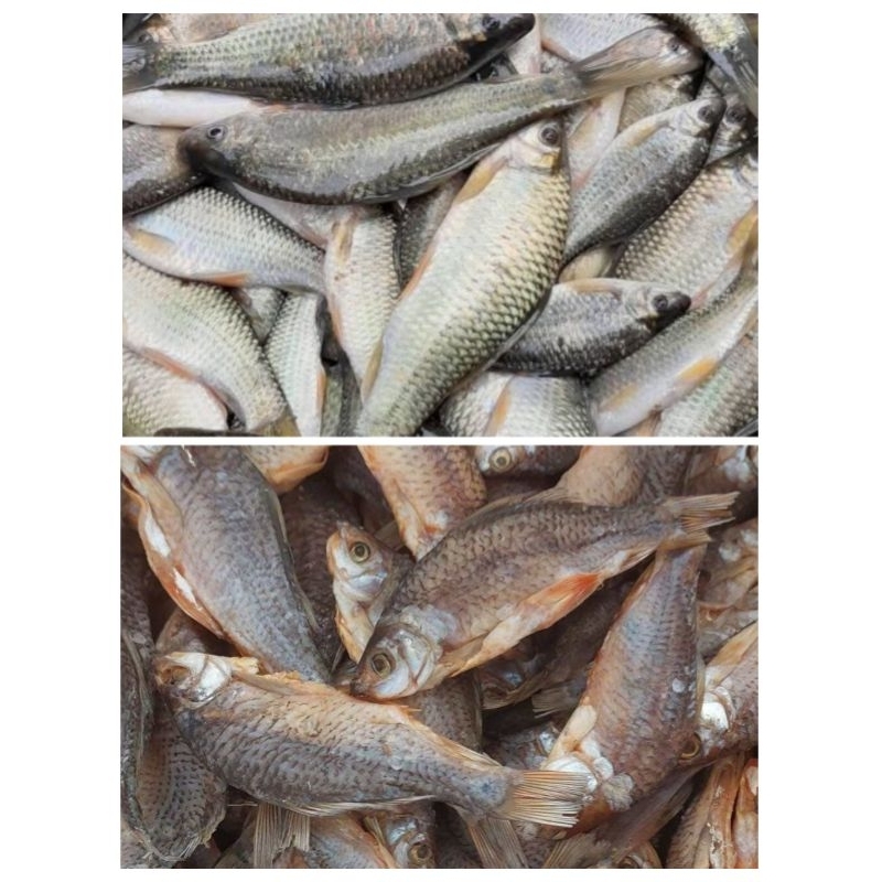

Ikan Asin Nilem 100 Gram