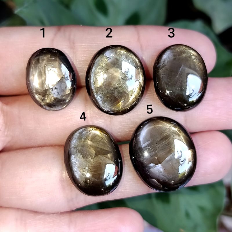 Batu Permata Natural Black Star Sapphire (K) / Batu Star Safir Oval Polos