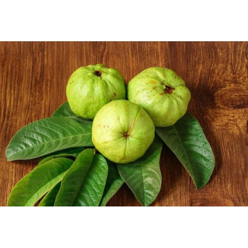 

Jambu kristal mini 1kg murah