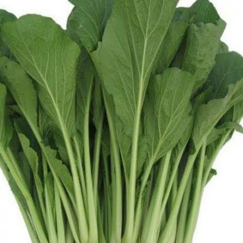 

Sawi Hijau /Caisim Fresh Berkualitas