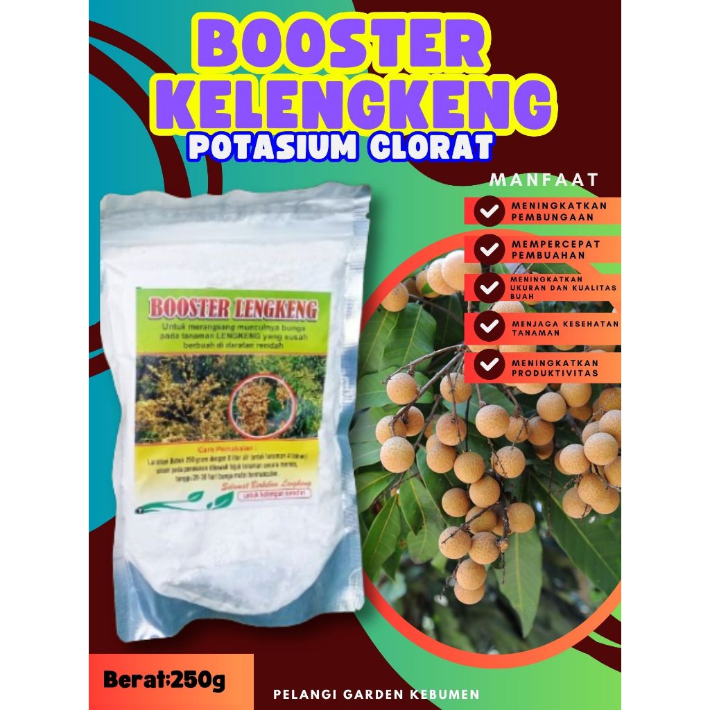 PROMO  Boster Kelengkeng Pingpong, Boster Kelengkeng Pingpong Berbuah, Boster Kelengkeng Puangray