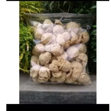 

Tahu Walik | Walik Tahu