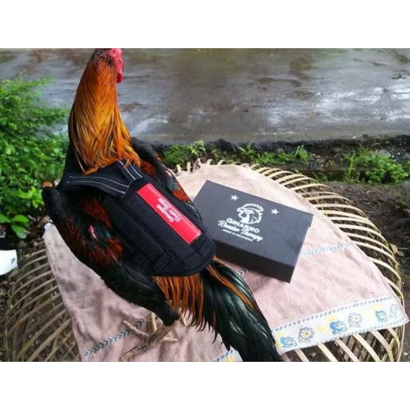 Rompi beban pemberat, untuk ayam aduan/ baju ayam dengan pemberat untuk latihan ayam