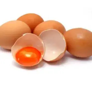 

Telor ayam negri OMEGA