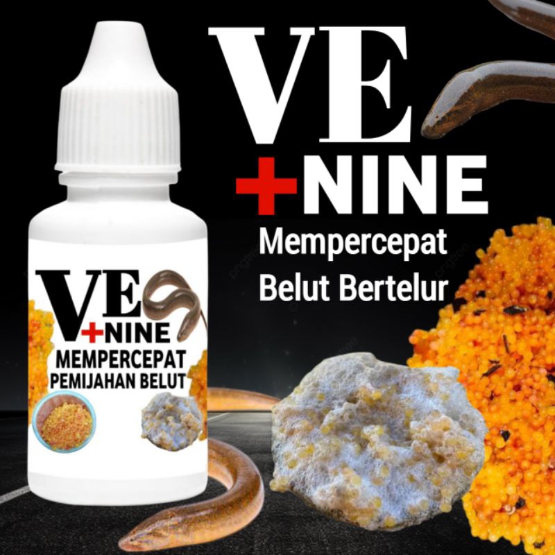 obat pemijahan bibit belut