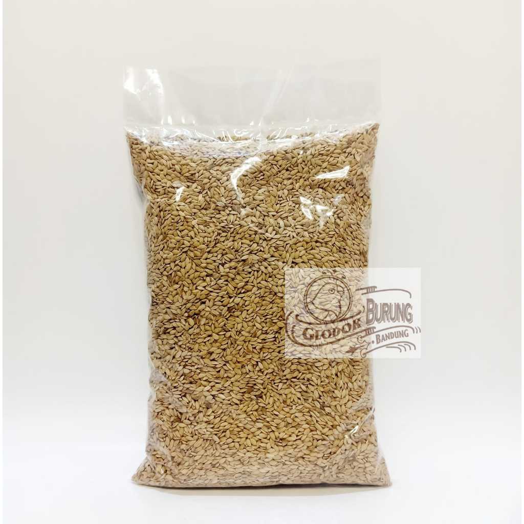 Gabah Bangkok Gabah Beras Pakan Makanan Ayam Burung Lovebird Parrot Kenari