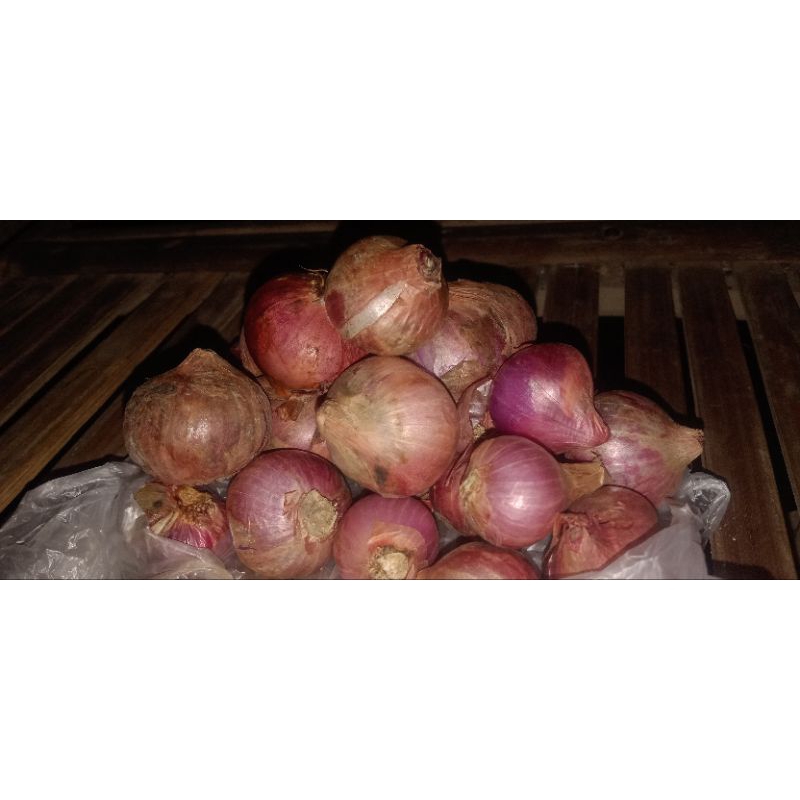 

BAWANG Merah Super Probolinggo