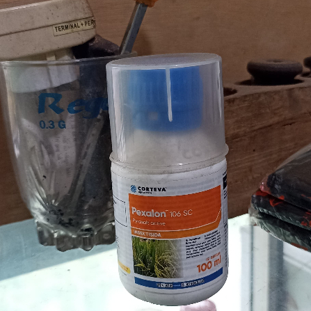 INSEKTISIDA DUPONT PEXALON 106 SC KEMASA1OO ML PENGENDALI WERENG DI TANAMAN PADI - CORTEVA