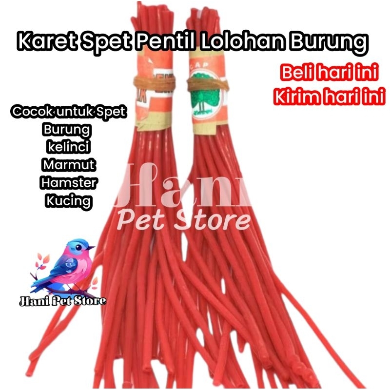 Karet Pentil Lolohan Karet Pentil Untuk Loloh Burung Merpati Karet Spet Burung 1 pcs