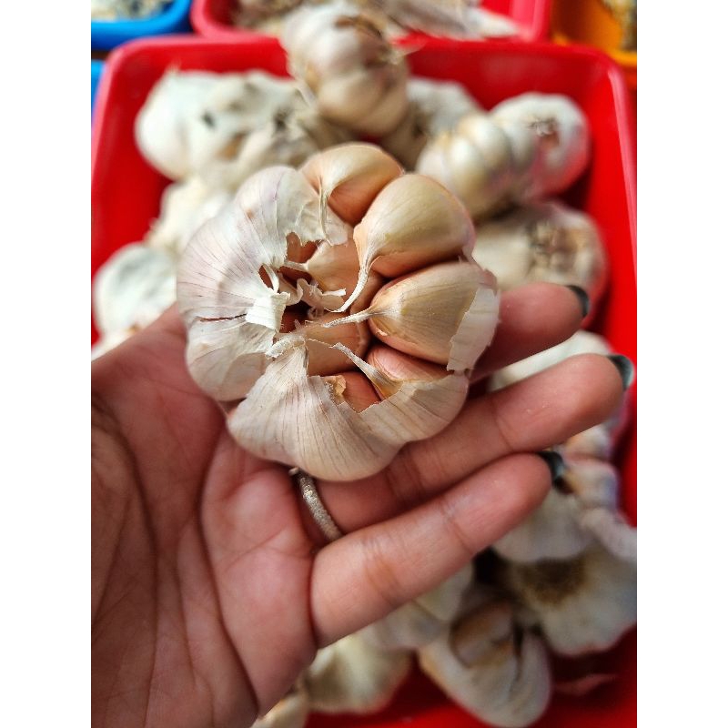

Bawang putih / honam super 500gram