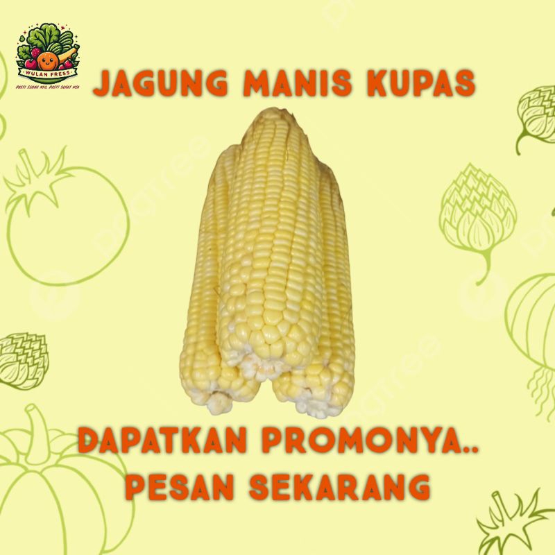 

JAGUNG MANIS KUPAS