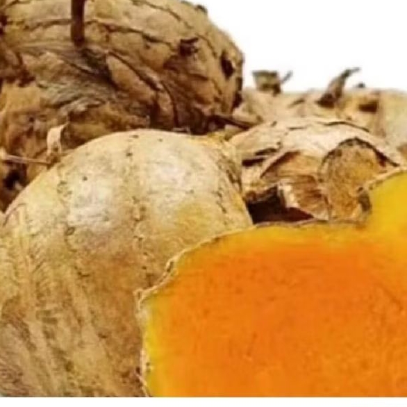 

temu lawak jamu tradaisionl alami