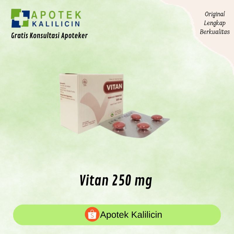 VITAN 250 MG TABLET SALUT SELAPUT EKSTRA TRIBULUS TERRESTRIS BOX ISI 20 TABLET SALUT SELAPUT