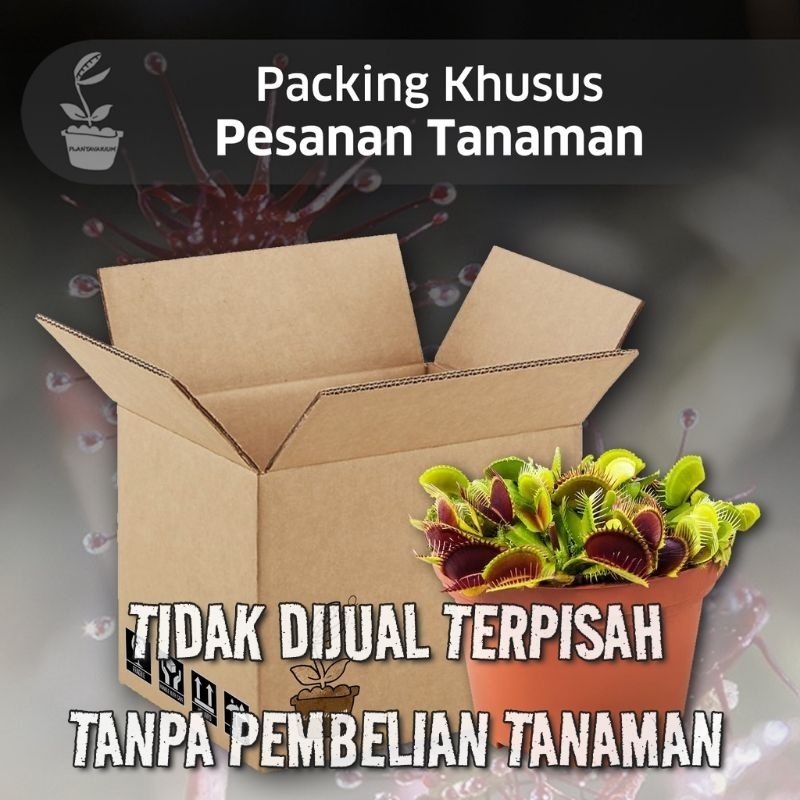

Packing Khusus Orderan Tanaman + Upgrade Pot Baru