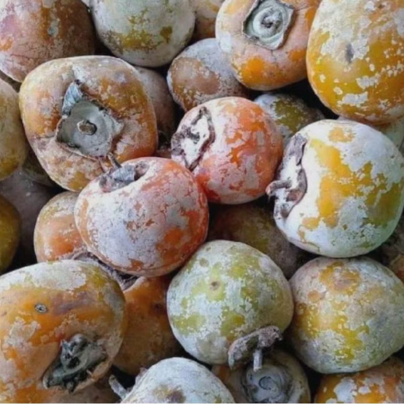 

BUAH KESEMEK SEGAR 1 KG / BUAH PERSIMMON