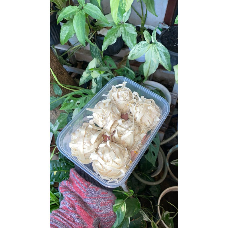 

AYAM RAMBUTAN_FROZEN_MATANG