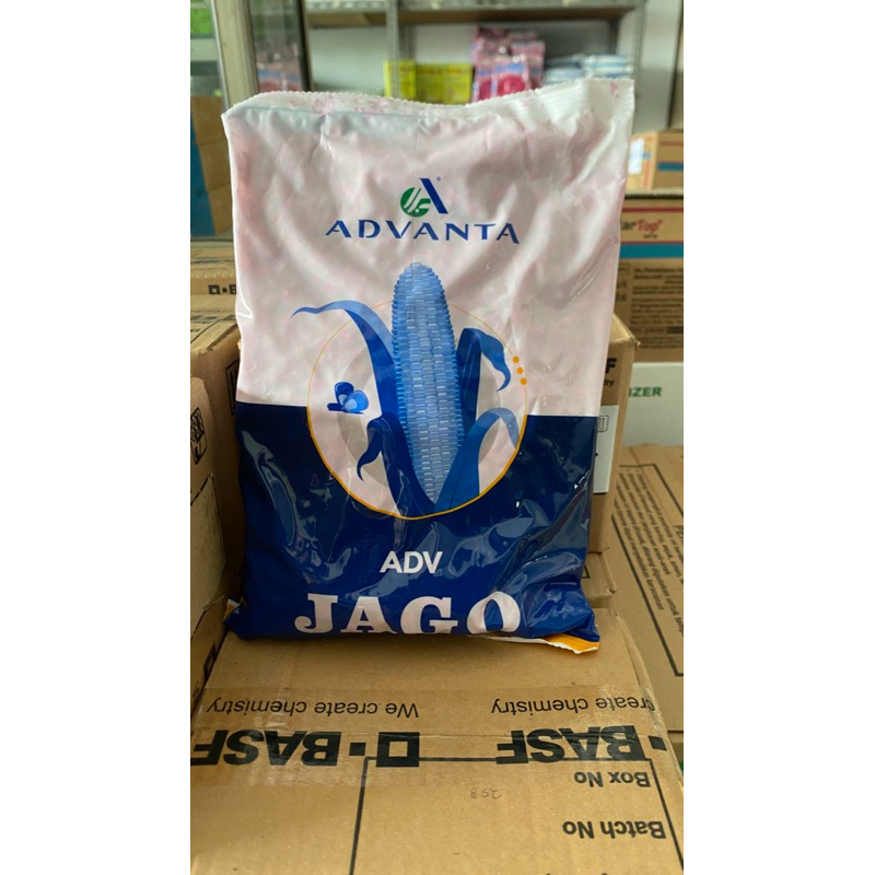 BENIH JAGUNG ADVANTA JAGO 1Kg
