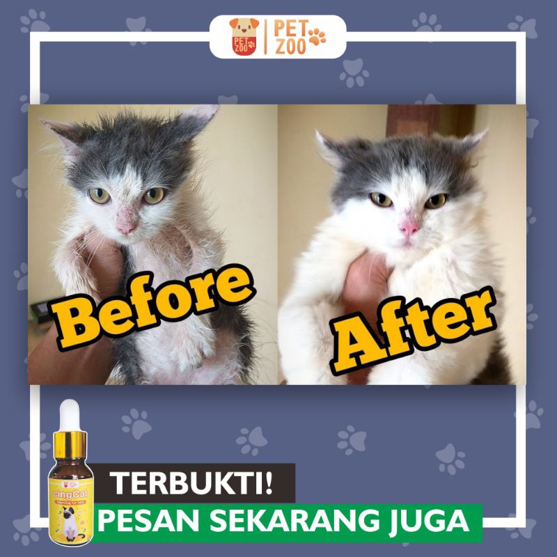 Obat Cacing Kucing Kitten Cair Ampuh Tetes Dewasa O Cing Albenworm Obat Kucing Cacingan  dan Mencret